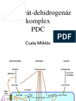 Biok2 Eload Pdcitratkor