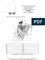 Autoevaluacion Articulacion Temporo Mandibular