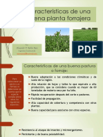 1.2. Características-buena-planta-forrajera