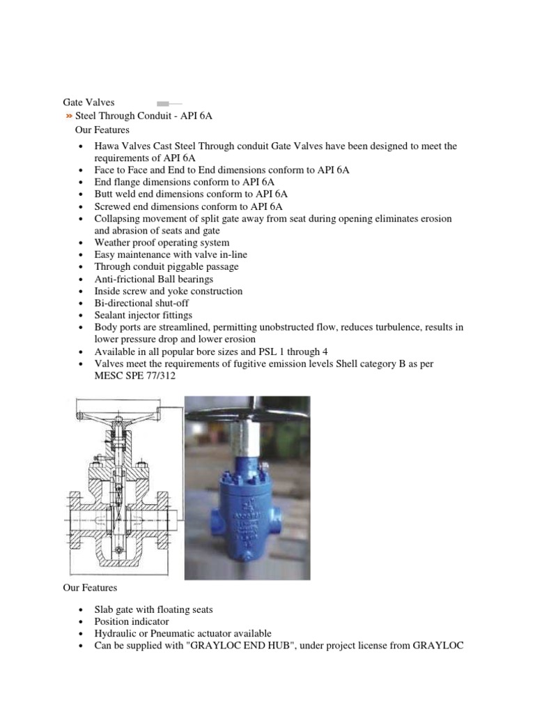 Gate Valve3