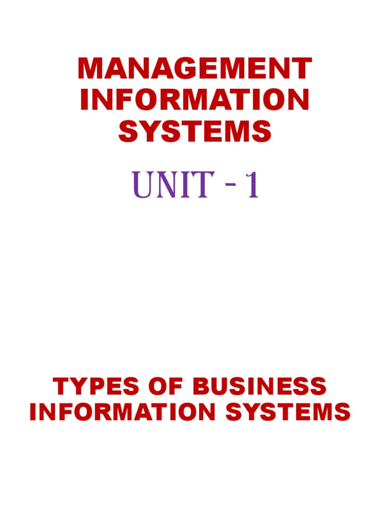 Types of Business Information Systems PDF Business Process