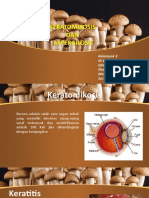 Kel 3 Keratomikosis & Aspergilosis
