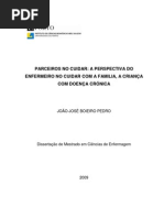 Dissertao de Mestrado de Joo Pedro