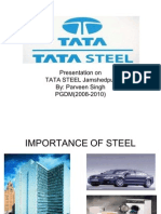 19800191 Presentation on Tata Steel