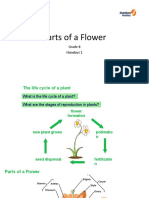 Parts of A Flower: Grade 8 Handout 1