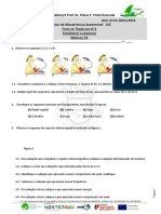 Ficha de Trabalho Nº3 Fenomenos Luminosos