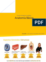 Anatomia Unidad 