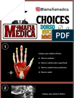 Choices Públicos (Dorso, Nuca & MMSS)