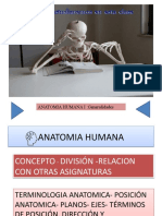 Introduciión Anatomia