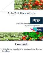 Aula 02 - Olericultura