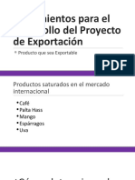 UAP Lineamientos para El Proyecto de Exportación