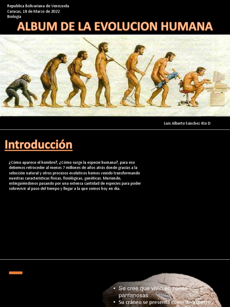 Albun de La Evolucion Humana | PDF | neanderthal | Homo