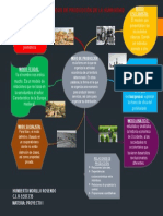 Mapa Conceptual de Los Modos de Produccion de La Humanidad