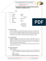 Informe Tecnico Del Diagnostico de La Localidad de Llipllina