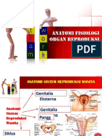 ANFIS REPRODUKSI WANITA