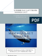 Bioekologi Mamalia Laut (XII)