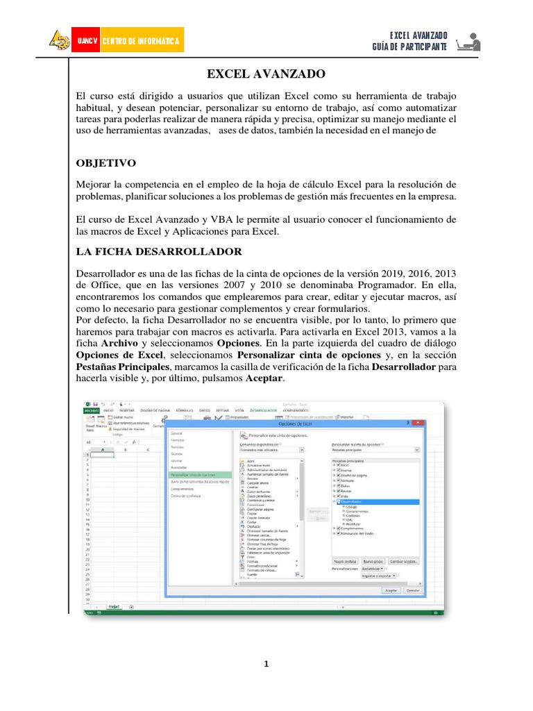 Guía de Excel Avanzado y VBA | PDF | Microsoft Excel | Visual Basic ...