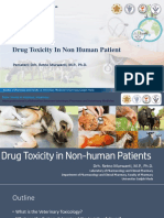 Drug Toxicity in Non-Human Patient