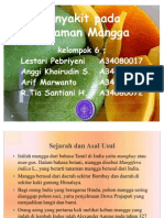 Pengamatan Penyakit Perkebunan Mangga. IPB.