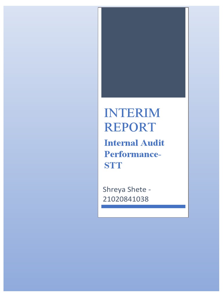Interim Report Internal Audit PDF Audit Internal Audit