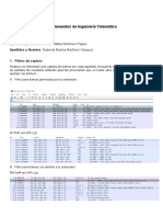 P4-FFIT-Wireshark RG