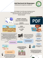 Mapa Conceptual - El Ciclo Global Del Nitrogeno