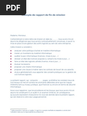 Exemple Rapport Fin Mission Pdf Informatique Logiciel
