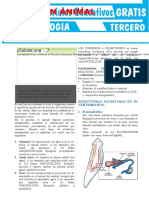 Excreción-Animal-para-Tercer-Grado-de-Secundaria_