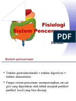 Sistem Pencernaan: Fisiologi dan Proses Pencernaan