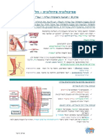 Physio - Ch.8 - Focus