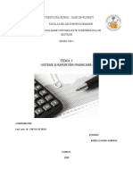 Tema 3 - Sisteme Și Raportări Financiare