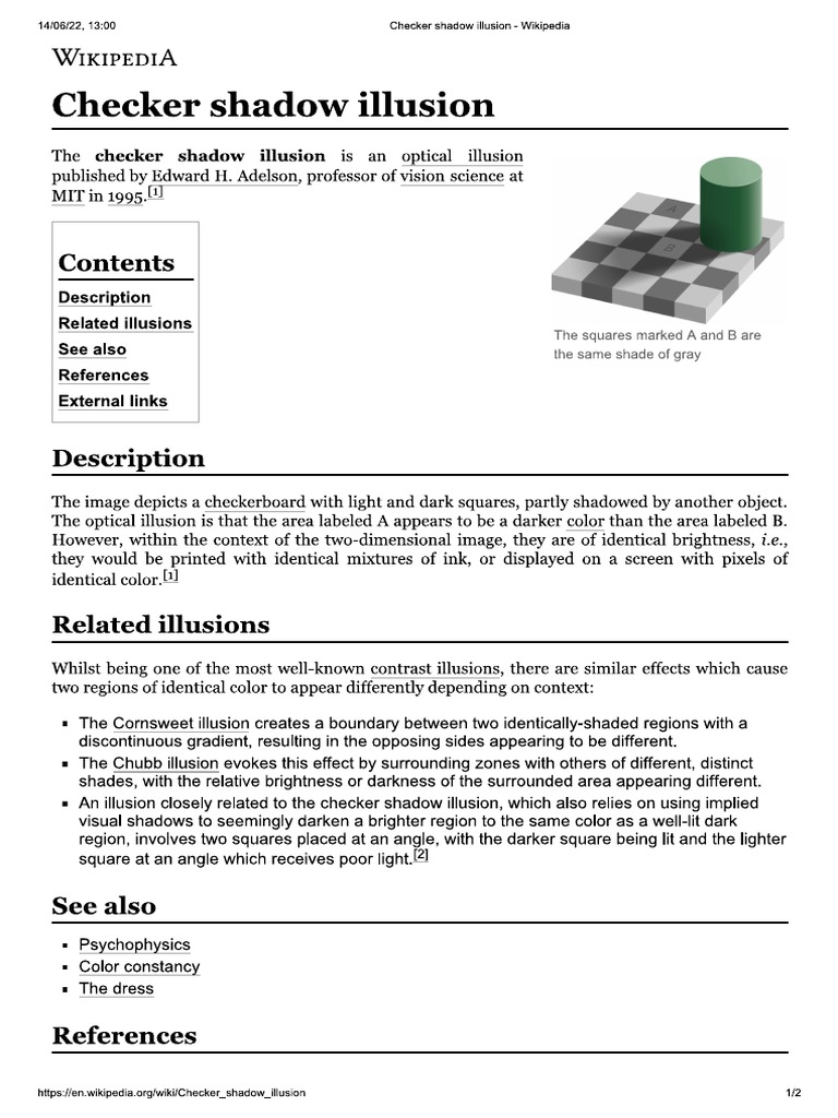 Checker Shadow Illusion PDF