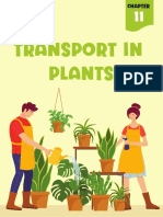 Transport in Plants