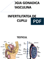 Patologie Gonadica Masculina, Infertilitate