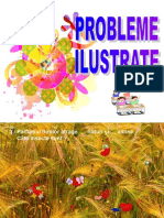 Probleme Ilustrate