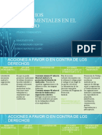 Derechos Fundamentales en El Trabajo