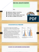 Indicadores Del Adulto Mayor