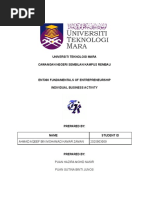 Ent300 Individual Assignment