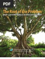 Download The Root of the Problem - What s Driving Tropical Deforestation Today by Armando Rodriguez Montellano SN57834392 doc pdf