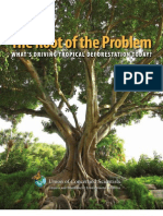 The Root of the Problem - What ’s Driving Tropical Deforestation Today?