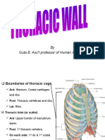 1. Thoracic Wall (1)