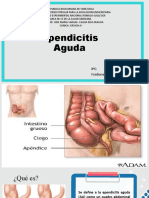 Apendicitis Aguda: Definición, Etiología y Fases