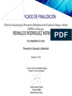 Prevención Universal y Ambiental_Certificado de Finalización (2)