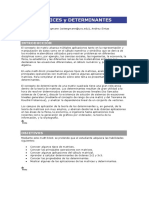 Matrices y determinantes: conceptos fundamentales