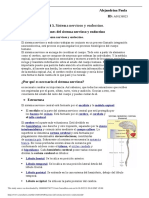 Funciones Del Sistema Nervioso y Endocrino - Odt