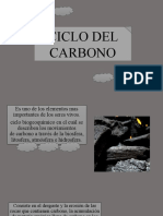 Ciclo Biogeoquimico - Carbono