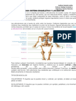 Guia Sistema Esqueletico y Locomotor