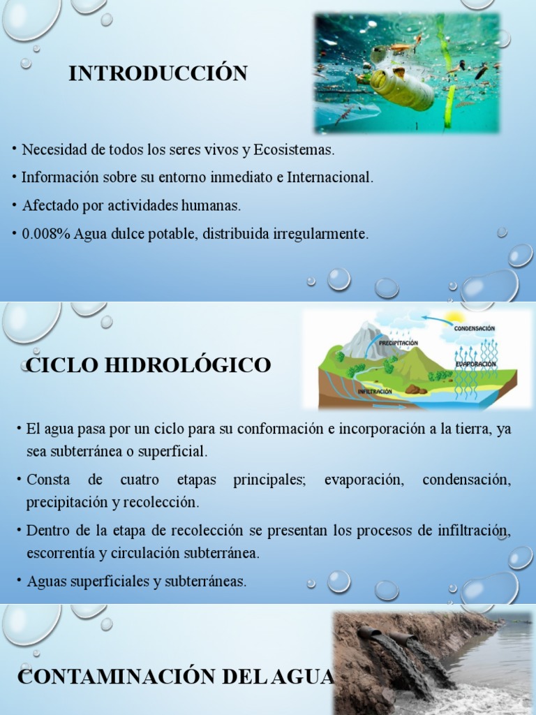 Importancia y cuidado del agua | PDF | Agua | Contaminación