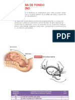 Medicion de Altura Uterina