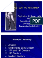 Anatomy 1st Year Med